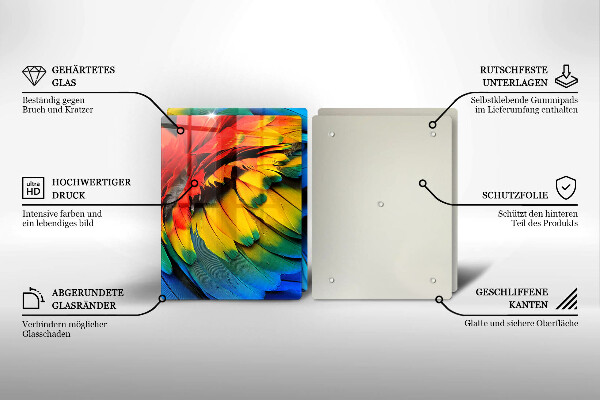 Sklo za varnú dosku Farebné papagájové perie