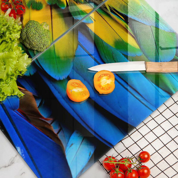 Sklo za varnú dosku Farebné papagájové perie