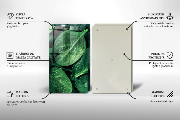 Sklo za varnú dosku Listy bazalky