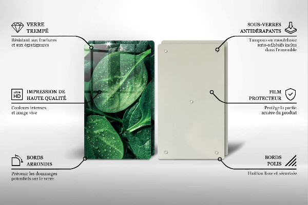 Sklo za varnú dosku Listy bazalky