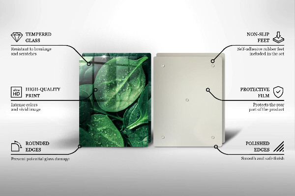 Sklo za varnú dosku Listy bazalky