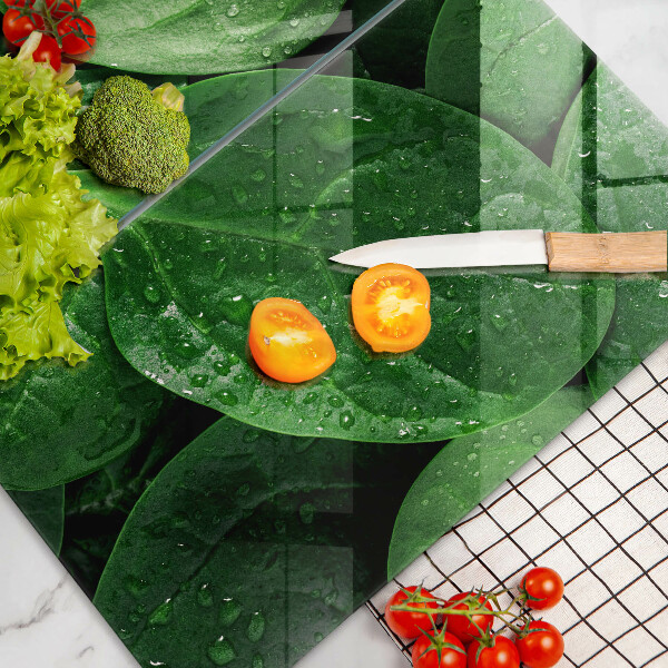 Sklo za varnú dosku Listy bazalky