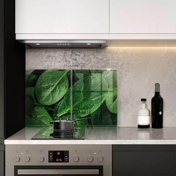 Sklo za varnú dosku Listy bazalky