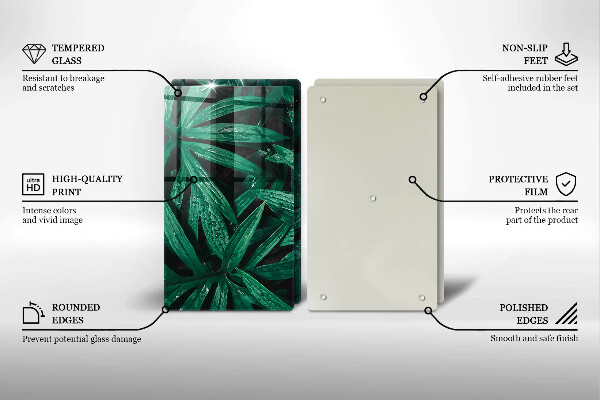 Sklo za varnú dosku Listy rastlín