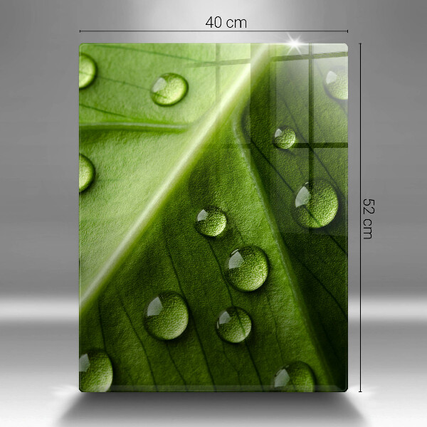 Kryt na sporák Príroda rosa a list