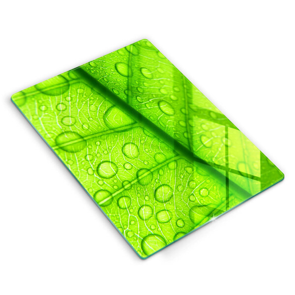 Kryt na sporák Detailný záber na list