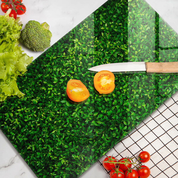 Kryt na sporák Rastlina s malými listami