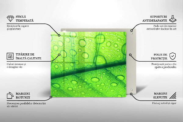 Sklo za varnú dosku Detailný záber na list