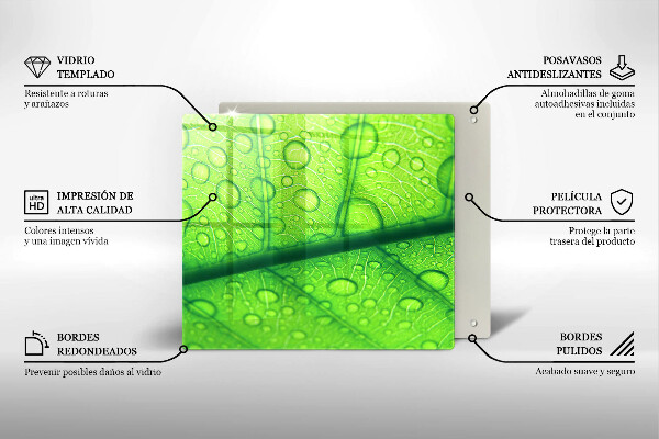 Sklo za varnú dosku Detailný záber na list