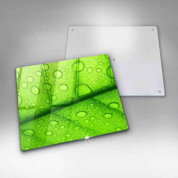 Sklo za varnú dosku Detailný záber na list