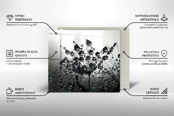 Sklo za varnú dosku Púpava a rosa