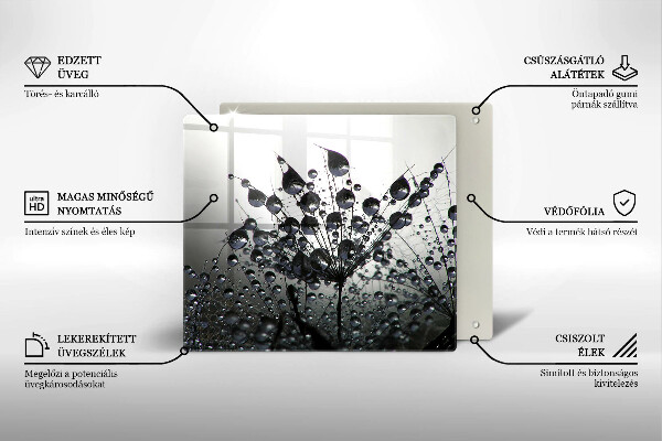 Sklo za varnú dosku Púpava a rosa