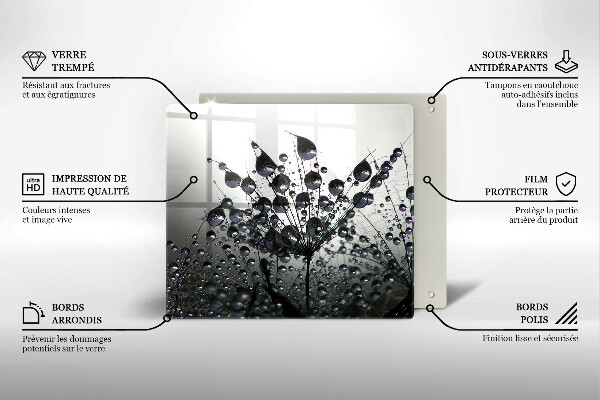 Sklo za varnú dosku Púpava a rosa