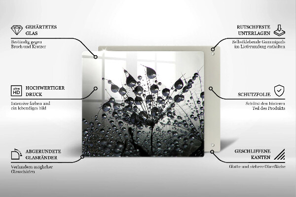 Sklo za varnú dosku Púpava a rosa