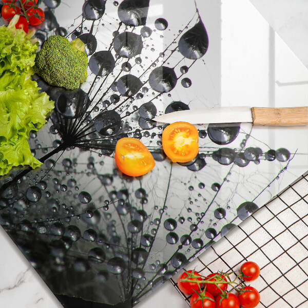 Sklo za varnú dosku Púpava a rosa