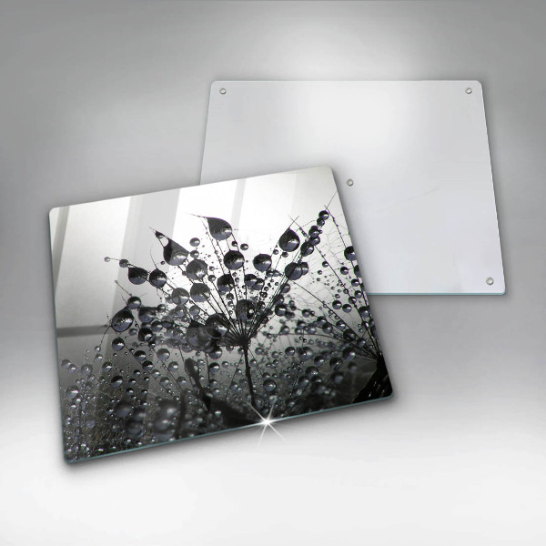 Sklo za varnú dosku Púpava a rosa