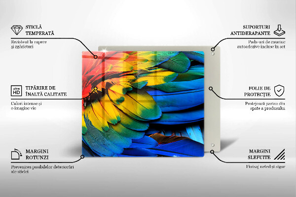 Kalené sklo za sporák Farebné papagájové perie