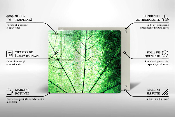 Sklo za varnú dosku Ozdobný žilový list