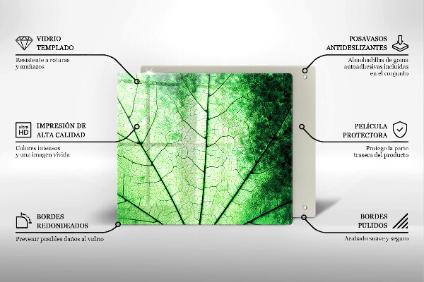 Sklo za varnú dosku Ozdobný žilový list