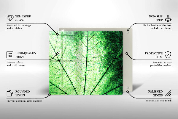 Sklo za varnú dosku Ozdobný žilový list