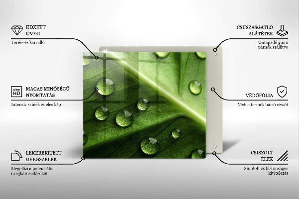 Sklo za varnú dosku Príroda rosa a list