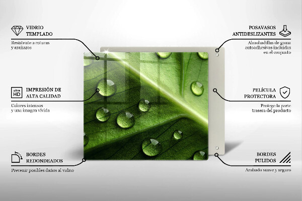 Sklo za varnú dosku Príroda rosa a list