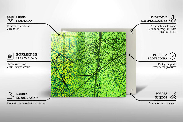 Kryt na indukčnú dosku Prírodné žilky listov