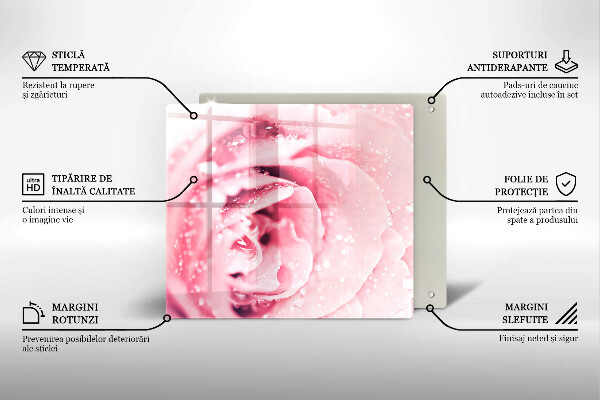 Kalené sklo za sporák Kvapky rosy a kvet ruže