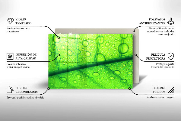 Sklenený kryt za sporák Detailný záber na list