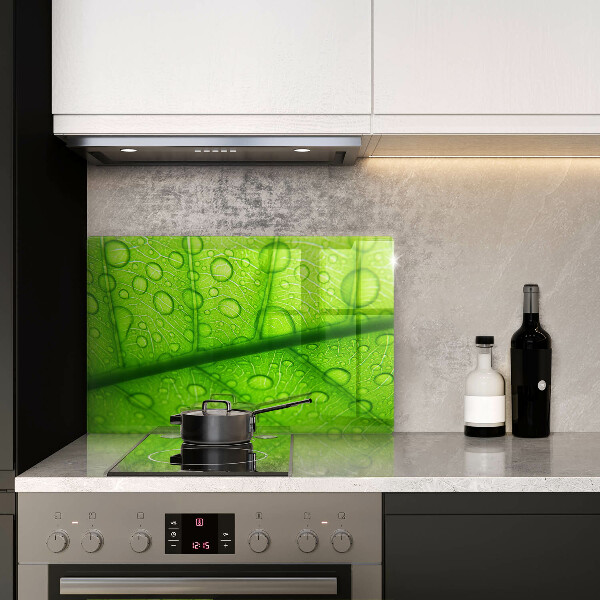 Sklenený kryt za sporák Detailný záber na list