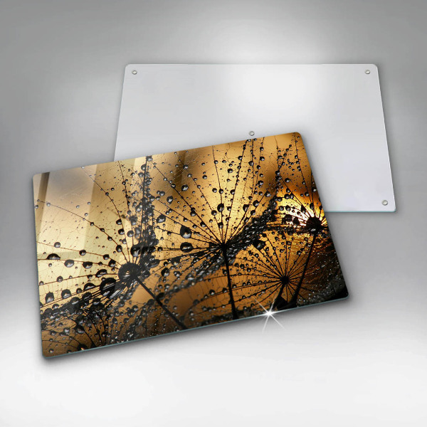 Sklo za varnú dosku Rosa a púpavy