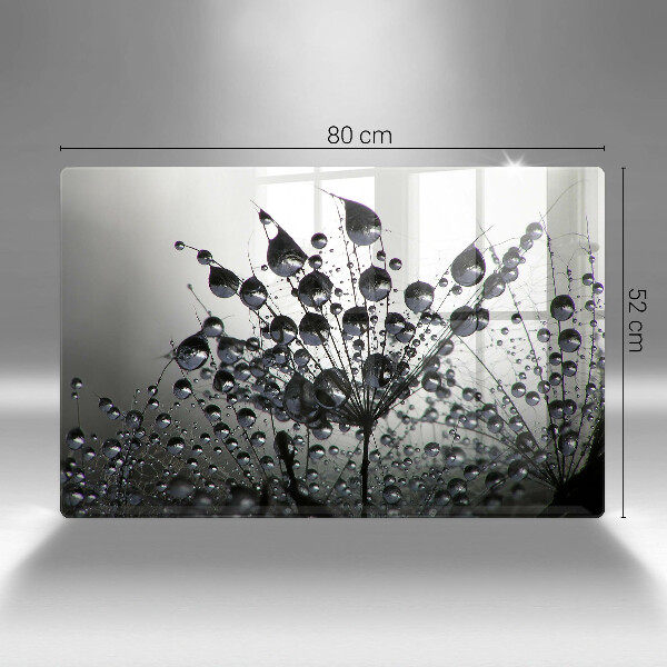 Sklo za varnú dosku Púpava a rosa