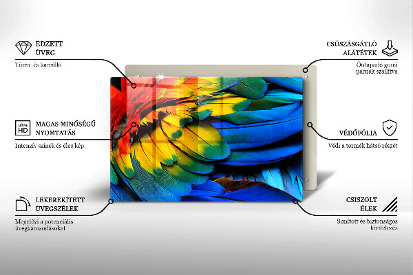 Kalené sklo za sporák Farebné papagájové perie