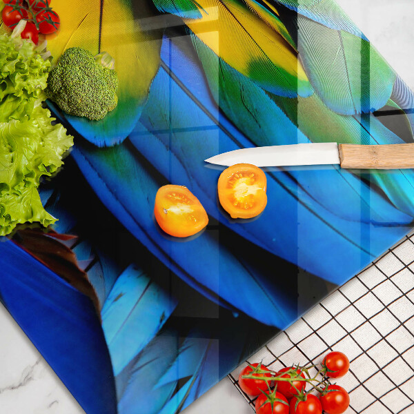 Kalené sklo za sporák Farebné papagájové perie