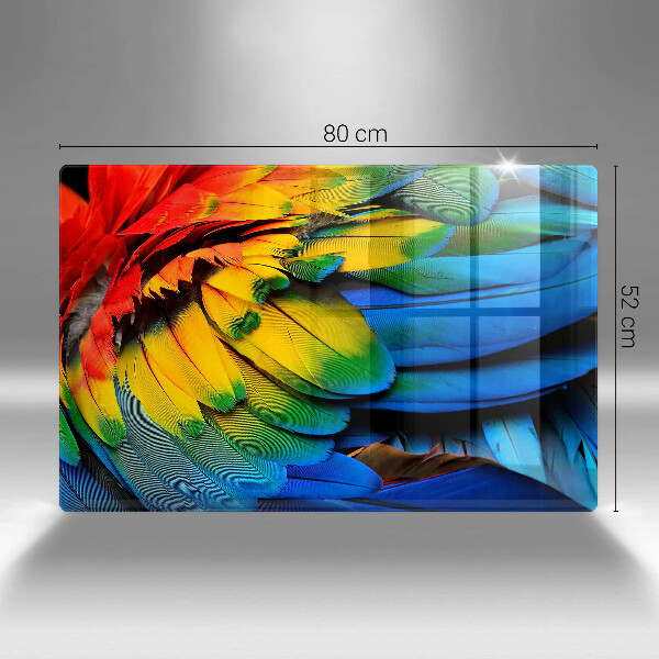 Kalené sklo za sporák Farebné papagájové perie