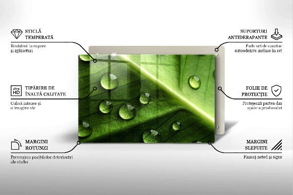 Sklo za varnú dosku Príroda rosa a list