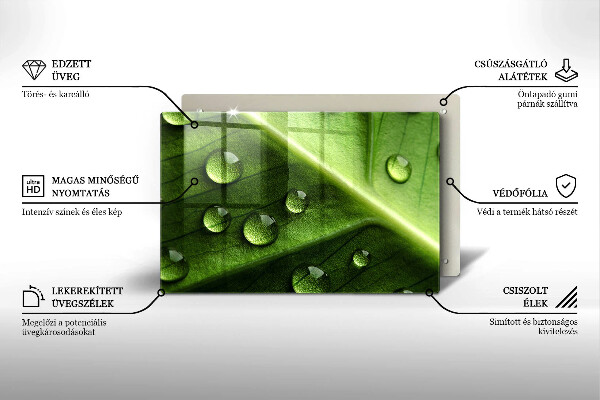 Sklo za varnú dosku Príroda rosa a list