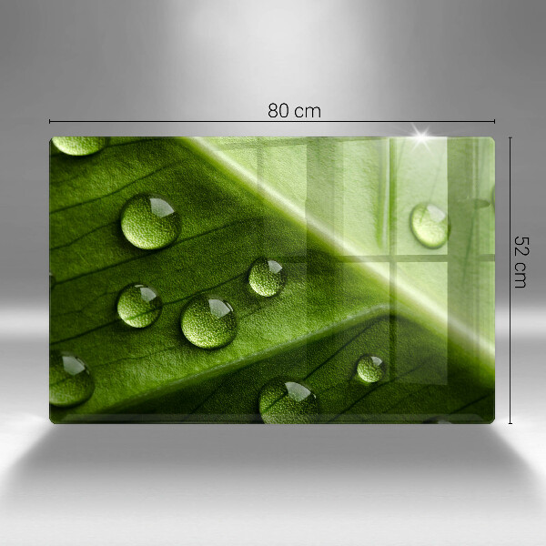 Sklo za varnú dosku Príroda rosa a list