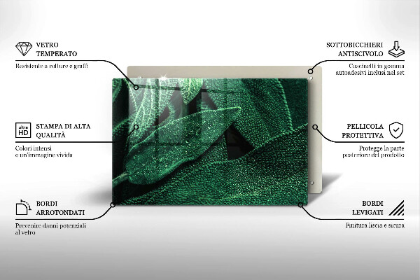 Kryt na indukčnú dosku Listy rastliny