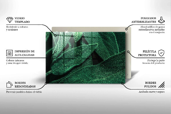 Kryt na indukčnú dosku Listy rastliny