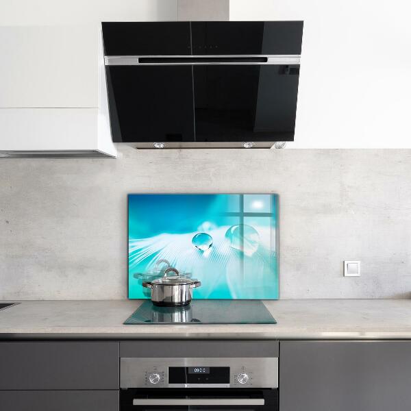 Nástenný panel  Rosa na jemnom pierku