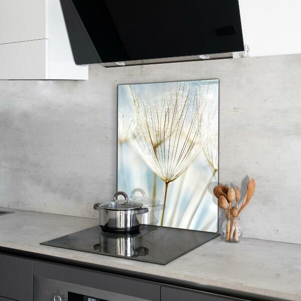 Sklenený obklad do kuchyne Púpava púpava vo vetre