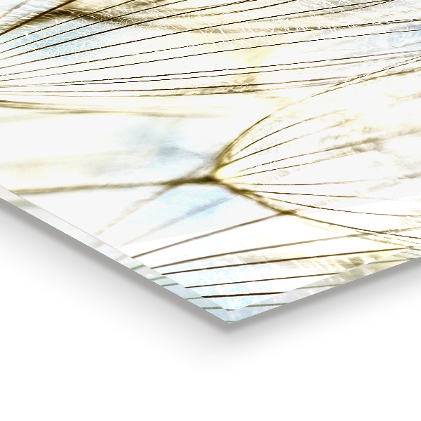 Sklenený obklad do kuchyne Púpava púpava vo vetre