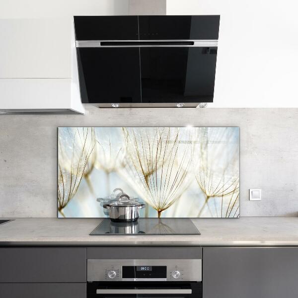 Sklenený obklad do kuchyne Púpava púpava vo vetre