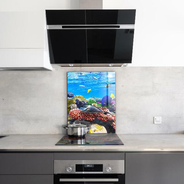 Sklenený obklad do kuchyne Koralový útes červené more