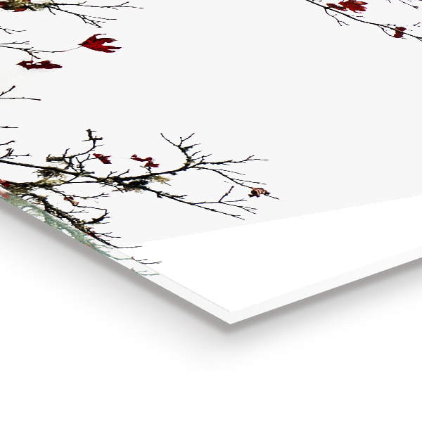 Nástenný panel  Krajina pokoj v duši