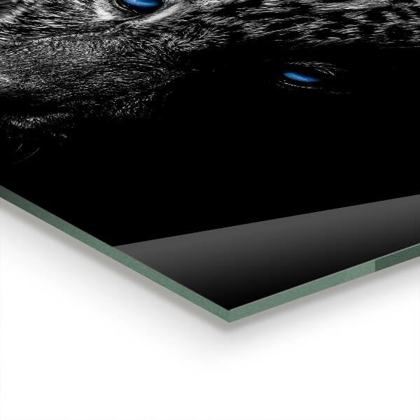 Sklenený obklad do kuchyne Divoká mačka tmavého pantera