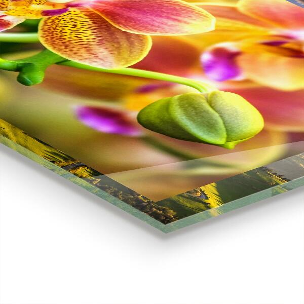 Sklenený obklad do kuchyne Oranžová orchidea