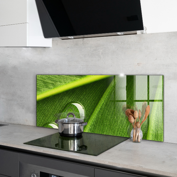 Sklenený obklad do kuchyne Kvapka rosy na liste