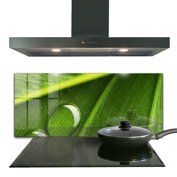 Sklenený obklad do kuchyne Kvapka rosy na liste